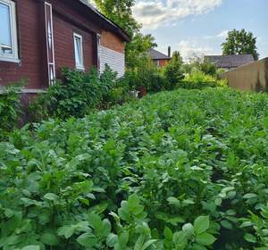 Дом 90м², 2-этажный, участок 3 сот.