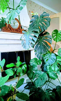 Дом 388м², 3-этажный, участок 16 сот.