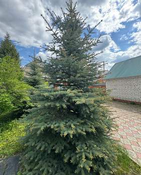 Дом 138м², 2-этажный, участок 12 сот.