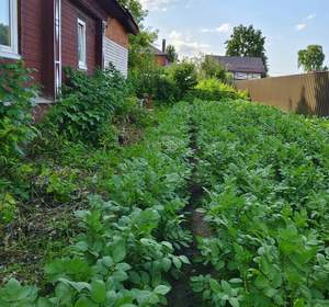 Дом 90м², 2-этажный, участок 3 сот.