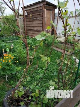 Дом 65м², 1-этажный, участок 4 сот.