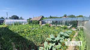 Дом 70м², 1-этажный, участок 6 сот.  