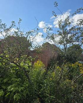 Дом 103м², 1-этажный, участок 4 сот.  