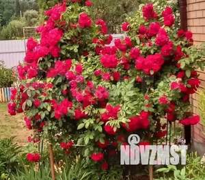 Дом 72м², 1-этажный, участок 6 сот.  