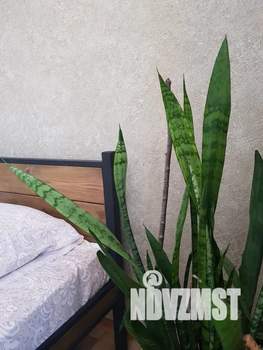 3-к квартира, посуточно, 65м2, 1/5 этаж