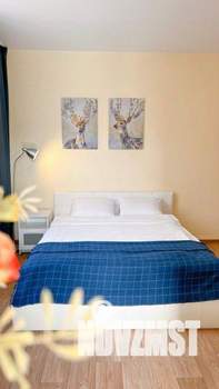 1-к квартира, посуточно, 46м2, 1/1 этаж