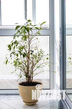 1-к квартира, посуточно, 46м2, 7/9 этаж