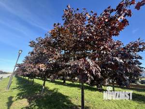 1-к квартира, вторичка, 41м2, 3/14 этаж