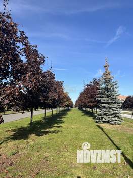 1-к квартира, вторичка, 41м2, 3/14 этаж