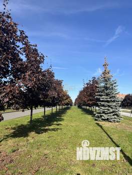 1-к квартира, вторичка, 43м2, 11/14 этаж