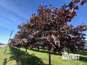 1-к квартира, вторичка, 43м2, 11/14 этаж