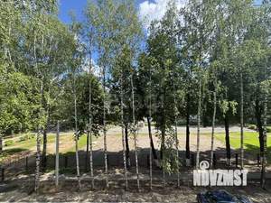 3-к квартира, вторичка, 59м2, 3/5 этаж
