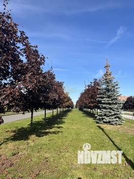 1-к квартира, вторичка, 43м2, 10/14 этаж