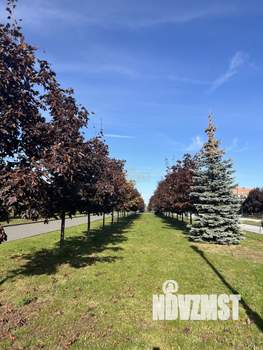 1-к квартира, вторичка, 43м2, 11/14 этаж